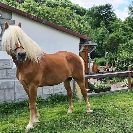 Auf Dem Reiterhof Leilighet Wernigerode Eksteriør bilde