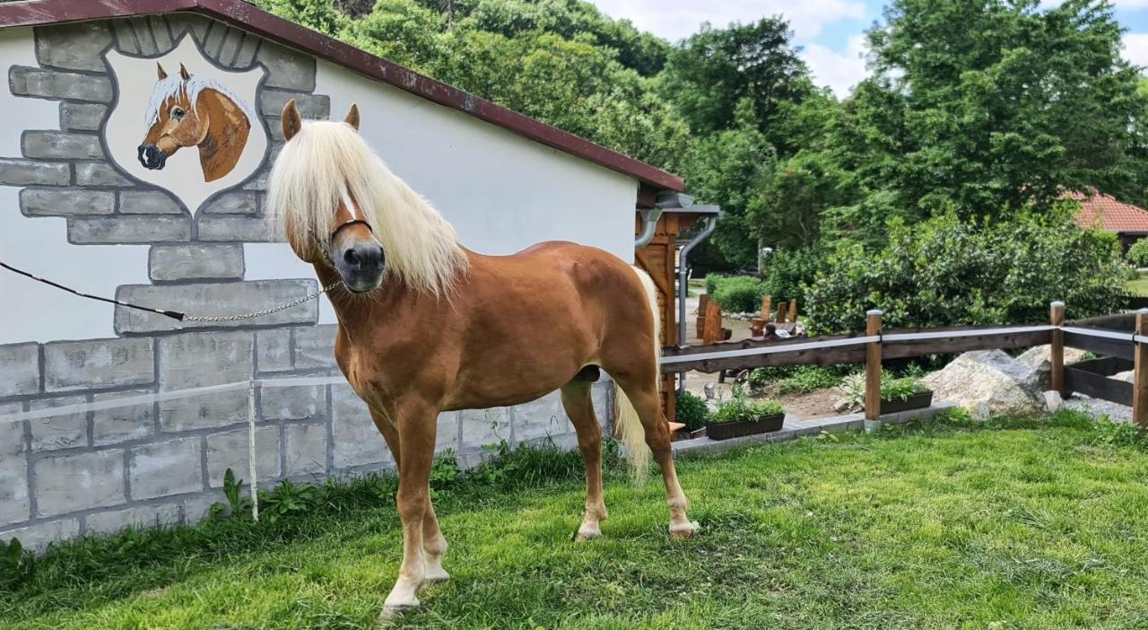 Auf Dem Reiterhof Leilighet Wernigerode Eksteriør bilde